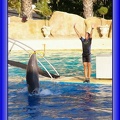 Marineland - Dauphins - Spectacle - Beach Party - 1964