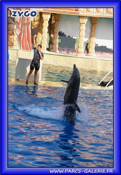 Marineland - Dauphins - Spectacle - Beach Party - 1966