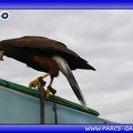 Marineland - Oiseaux - Spectacle - 2451
