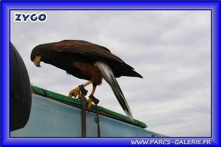 Marineland - Oiseaux - Spectacle - 2451