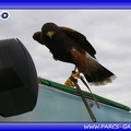 Marineland - Oiseaux - Spectacle - 2452