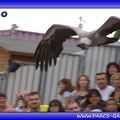 Marineland - Oiseaux - Spectacle - 2464