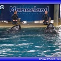 Marineland - Orques - Spectacle - 2508