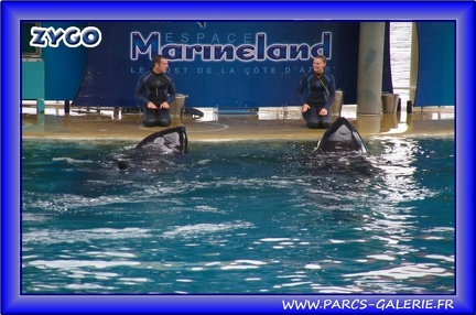 Marineland - Orques - Spectacle - 2508