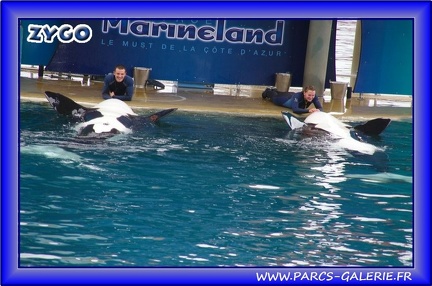 Marineland - Orques - Spectacle - 2512