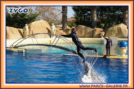 Marineland - Dauphins - Spectacle 14h30 - 1928