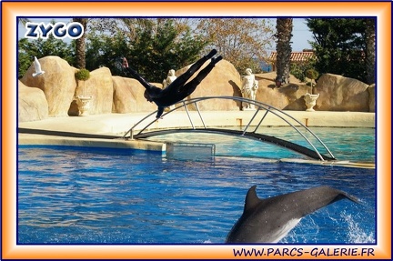 Marineland - Dauphins - Spectacle 14h30 - 1929