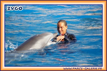 Marineland - Dauphins - Spectacle 14h30 - 1930