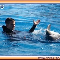 Marineland - Dauphins - Spectacle 14h30 - 1932