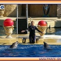 Marineland - Dauphins - Spectacle 14h30 - 1933