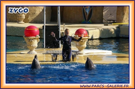 Marineland - Dauphins - Spectacle 14h30 - 1934