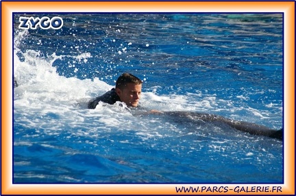 Marineland - Dauphins - Spectacle 14h30 - 1935