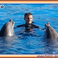 Marineland - Dauphins - Spectacle 14h30 - 1938