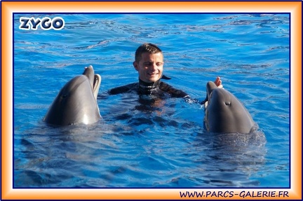 Marineland - Dauphins - Spectacle 14h30 - 1938