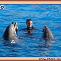 Marineland - Dauphins - Spectacle 14h30 - 1939