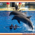 Marineland - Dauphins - Spectacle 14h30 - 1940