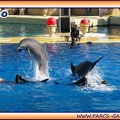 Marineland - Dauphins - Spectacle 14h30 - 1943