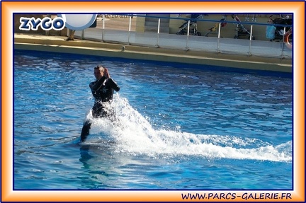 Marineland - Dauphins - Spectacle 14h30 - 1945