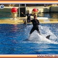 Marineland - Dauphins - Spectacle 14h30 - 1946
