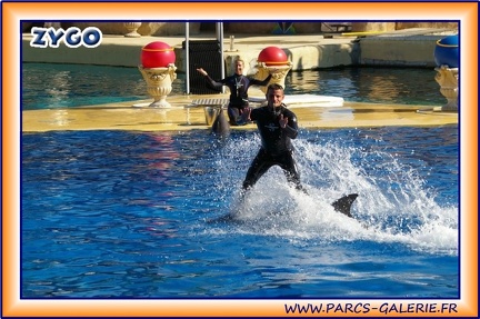 Marineland - Dauphins - Spectacle 14h30 - 1946