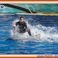Marineland - Dauphins - Spectacle 14h30 - 1947