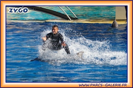 Marineland - Dauphins - Spectacle 14h30 - 1947