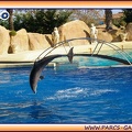 Marineland - Dauphins - Spectacle 14h30 - 1948