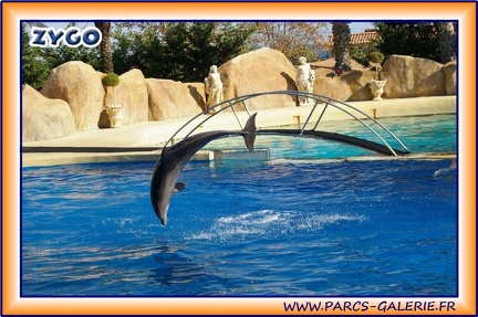 Marineland - Dauphins - Spectacle 14h30 - 1948