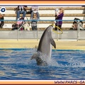 Marineland - Dauphins - Spectacle 14h30 - 1949