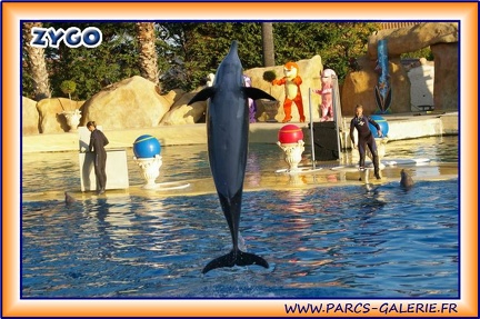 Marineland - Dauphins - Spectacle 17h15 - 1952