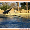 Marineland - Dauphins - Spectacle 17h15 - 1953