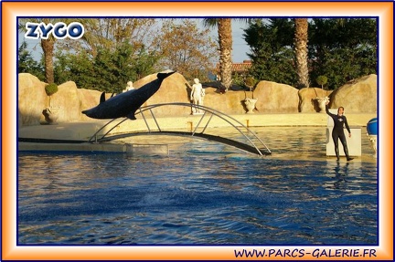 Marineland - Dauphins - Spectacle 17h15 - 1953