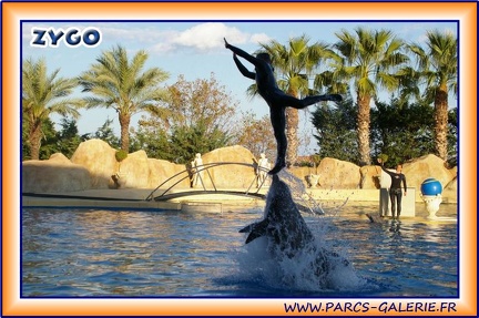 Marineland - Dauphins - Spectacle 17h15 - 1954