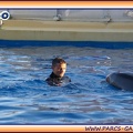 Marineland - Dauphins - Spectacle 17h15 - 1956