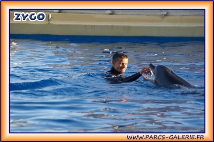 Marineland - Dauphins - Spectacle 17h15 - 1957