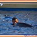 Marineland - Dauphins - Spectacle 17h15 - 1958