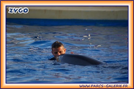 Marineland - Dauphins - Spectacle 17h15 - 1958