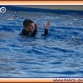 Marineland - Dauphins - Spectacle 17h15 - 1960