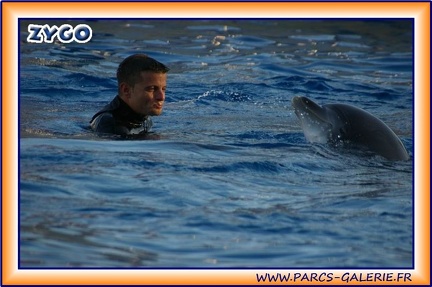 Marineland - Dauphins - Spectacle 17h15 - 1961