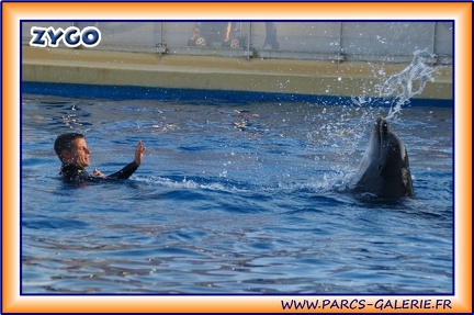Marineland - Dauphins - Spectacle 17h15 - 1962