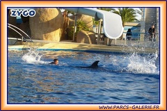 Marineland - Dauphins - Spectacle 17h15 - 1963