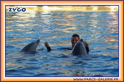 Marineland - Dauphins - Spectacle 17h15 - 1966