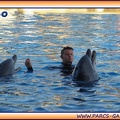 Marineland - Dauphins - Spectacle 17h15 - 1967