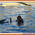 Marineland - Dauphins - Spectacle 17h15 - 1968