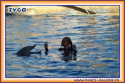 Marineland - Dauphins - Spectacle 17h15 - 1968
