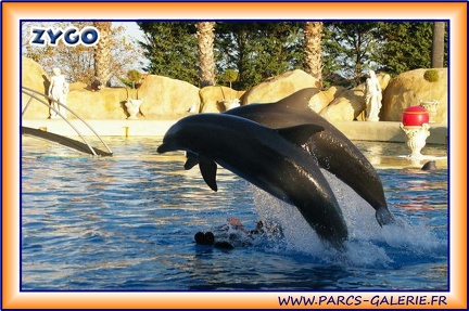 Marineland - Dauphins - Spectacle 17h15 - 1969