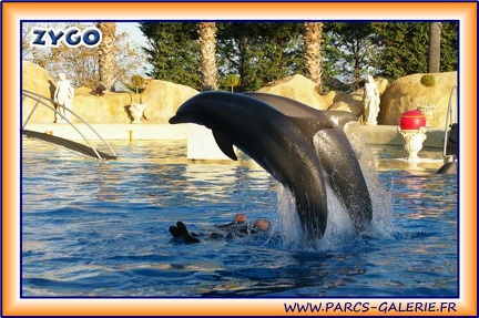 Marineland - Dauphins - Spectacle 17h15 - 1970