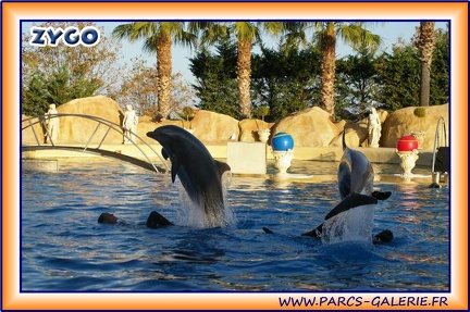 Marineland - Dauphins - Spectacle 17h15 - 1971