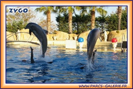 Marineland - Dauphins - Spectacle 17h15 - 1972