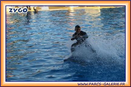 Marineland - Dauphins - Spectacle 17h15 - 1973